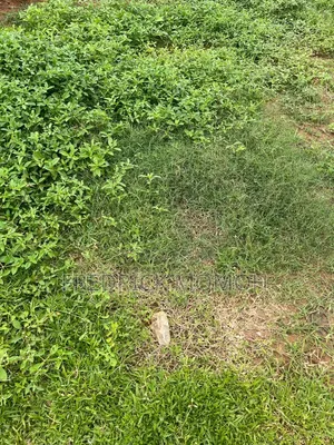 FCDA Approved Residential Land for Sale at Pyakasa, FCT Abuja