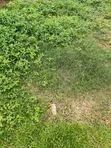 Filin Zama na FCDA da Aka Amince a Pyakasa, FCT Abuja - 2
