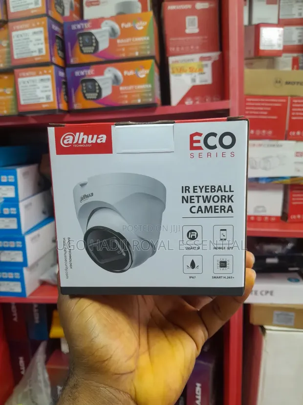 Dahua Eco Series IR Eyeball Network Camera - 1