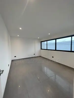 4 Bedroom Duplex with Penthouse in Banana Island