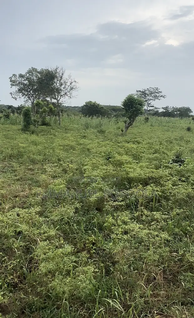 1 Acre Dry Land for Sale in Lapeleke, Ewekoro - 1