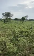Acre 1 na Ƙasa Mai Bushewa don Siyarwa a Lapeleke, Ewekoro - 1