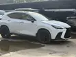2024 Lexus NX200 Fari - 4