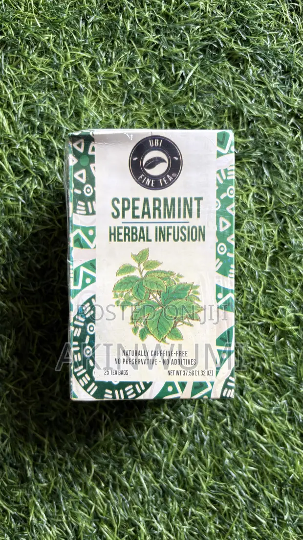 Spearmint Herbal Infusion - Immune & Acne Support - 1