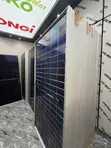 590W Jinko Solar Panel - Brand New - 1