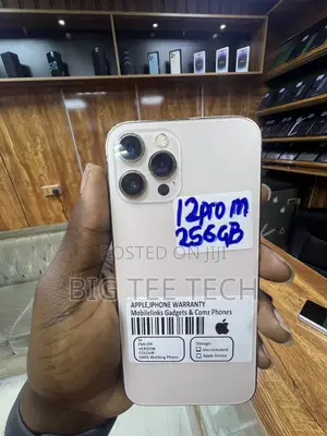 Apple iPhone 12 Pro Max 256GB Gold