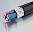 Original 50mm 4-Core Armoured Cable - An Sanya a Turkey - 1