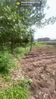 Public Institution Plot for Sale in Lifecamp - 1
