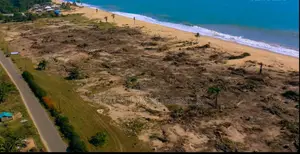 Beach Haven Estate: Filayen Gaba na Teku Don Siyawa