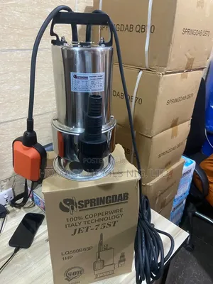 Stainless Steel Fountain Pump 1HP
