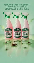 Broadkiller Insect Killer Spray - 1