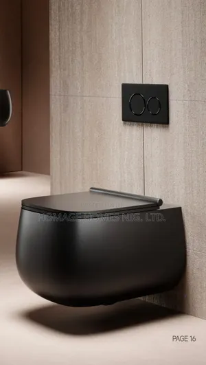 Luxury Wall Hung Concealed WC - Baki