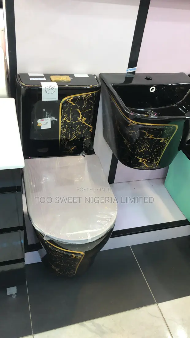 Ideal Water Closet (WC) - Back-to-Wall, Dual Flush - 1