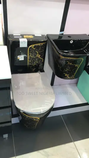 Ideal Water Closet (WC) - Baya-zuwa-Ganin, Dual Flush