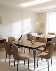 Home Interiors 6-Seater Dining Set with Marble Tabletop - 2