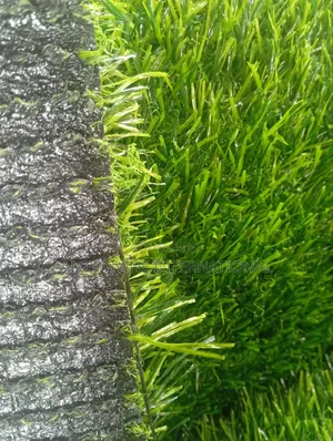 25mm Synthetic Quality Grass Carpet