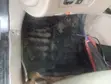 Toyota Sienna 2005 Grey - 3