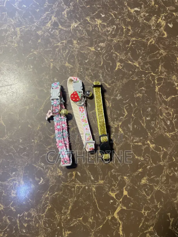 Cat/Puppy Collar - 1