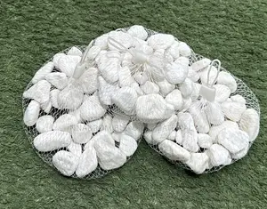 1 Kg Fararen Duwatsun Tsakuwa don Firawa, Pool