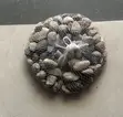Natural Color Pebble Stone - 2