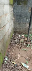 3600sqm (1 Acre) Land for Sale, Oyingbo Market, Ebute Meta - 2