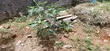 3600sqm (1 Acre) Land for Sale, Oyingbo Market, Ebute Meta - 3