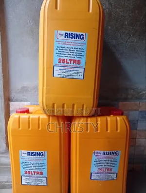 Rising Air Freshener - Anti-Bacterial Mai Kashe Warin Jiki