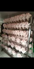Blast Freezer Room - 3000KG Capacity - 1