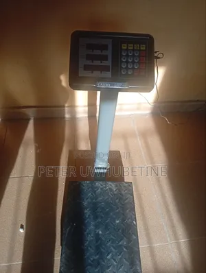 Toyota Camry Scale - Brand New