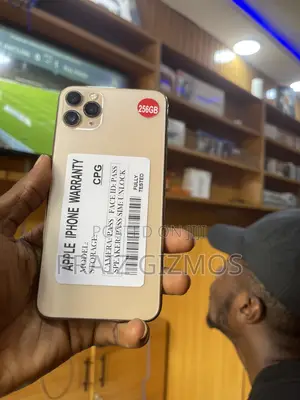 Apple iPhone 11 Pro Max 256GB Zinariya
