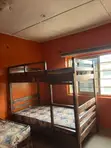 3.5 x 6ft Wooden Bunk Bed Frame - Brand New - 1