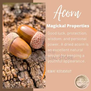 Acorn Amulets - Spiritual Protection & Good Luck