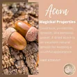 Acorn Amulets - Spiritual Protection & Good Luck - 2
