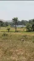 Residential Land for Sale - Kuduru Extension, Bwari - 2