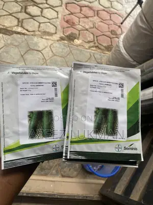 Seminis Darina F1 Hybrid Cucumber Seeds