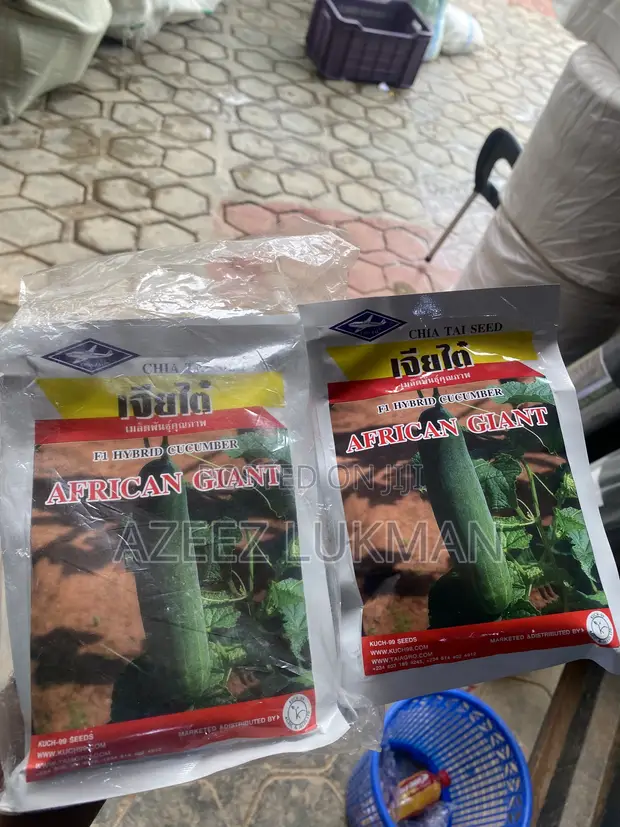 CAN African Giants Hybrid Cucumber Seeds - 1