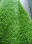 Artificial Grass 50mm (Football Pitch) - 5