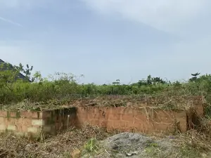Filin da Ginin Bungalow 4-Bedroom (Har Zuwa Matakin DPC)