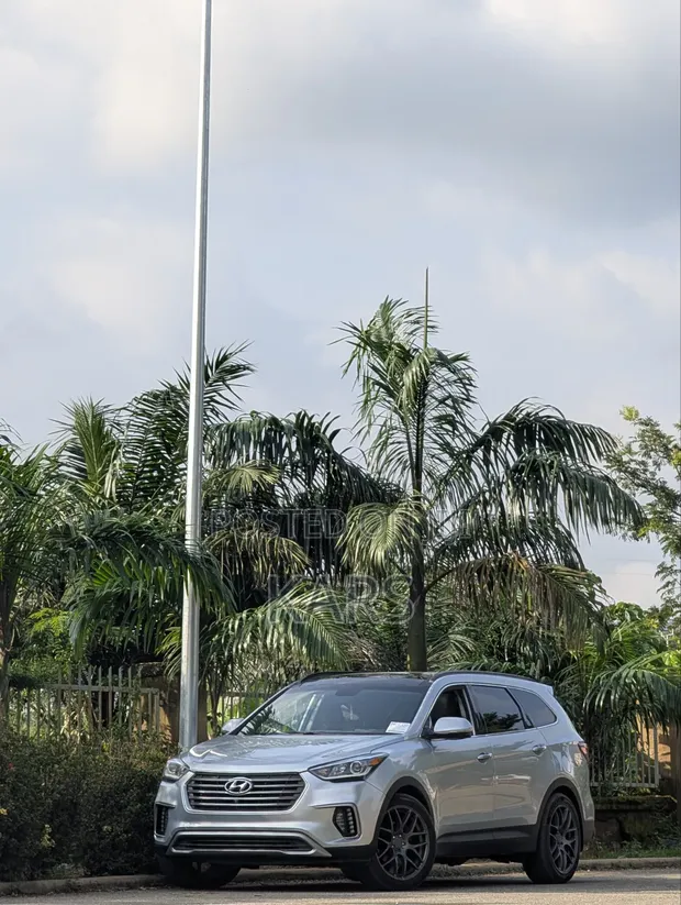 Hyundai Santa Fe Ultimate 2017 Silver - 1