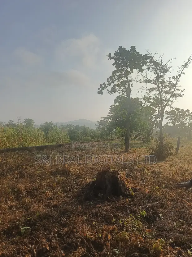 2,391 SQM Multi-Purpose Land in Maitama Main - 1