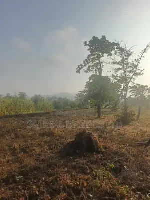 2,391 SQM Multi-Purpose Land in Maitama Main