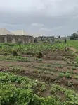 2,391 SQM Multi-Purpose Land in Maitama Main - 2
