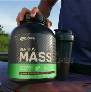Optimum Nutrition Serious Mass 6LB Chocolate Weight Gainer