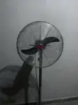 Brand New 20-inch OX Floor Fan - 1