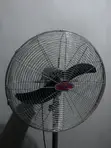 Brand New 20-inch OX Floor Fan - 3