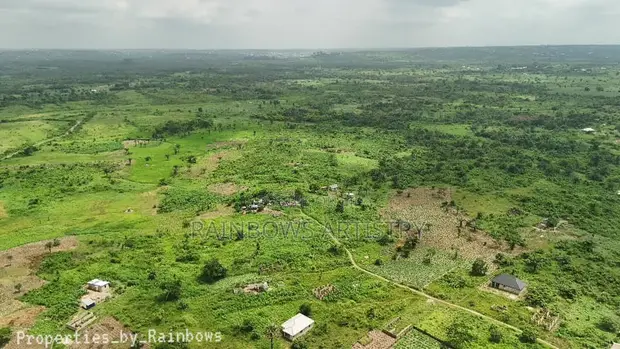 Filin Kasa Mai Kwarewa a Mowe Ofada Town - 1