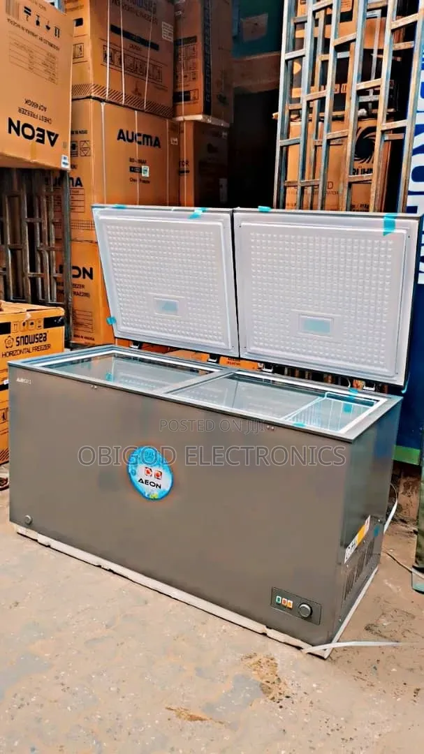 Aeon 450L Double Door Freezer - 1