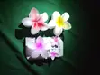 Treasure Luxe Fashion Accessories - 1