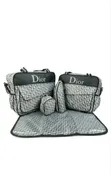 Designer Multifunction Diaper Bag (Gucci, Dior Styles) - 2