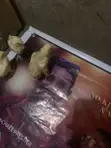 New Generation Farming - Fowl Chickens - 1